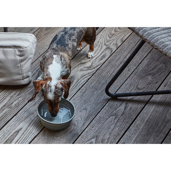 Iš silikono sulankstomas kelioninis dubuo šuniui ø 15,5 cm Piega Slate – MiaCara-image-1