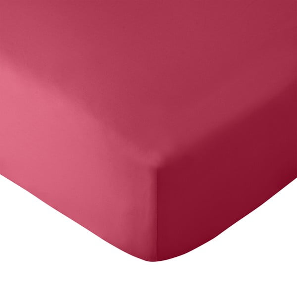 Paklodė tamsiai rožinės spalvos su guma 150x200 cm So Soft Easy Iron – Catherine Lansfield