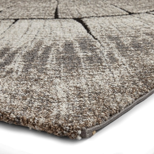 Smėlio spalvos kilimas 230x160 cm Woodland - Think Rugs-image-4