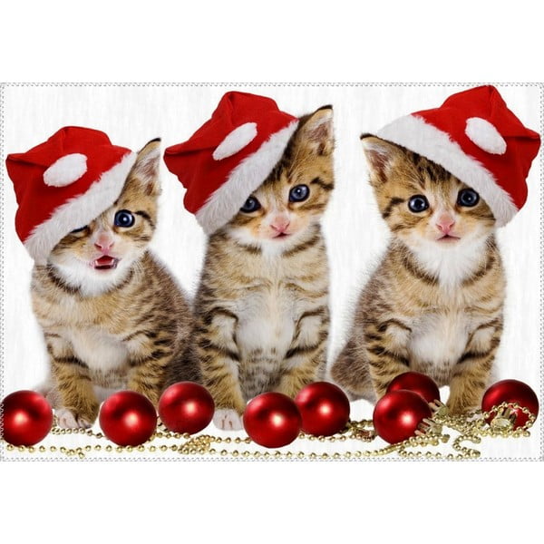 Kilimas Vitaus Kalėdų laikotarpis Trys katės, 50 x 80 cm
