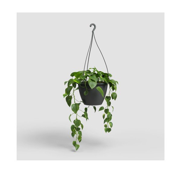 Iš plastiko vazonas ø 31 cm Algarve – Artevasi-image-4