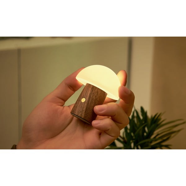 Baltos spalvos/tamsios natūralios spalvos stalinis šviestuvas LED (aukštis 7 cm) Alice Mushroom – Gingko-image-4