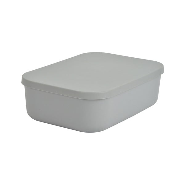 Iš plastiko daiktadėžė pilkos spalvos su dangčiu 24x18x8 cm – Homéa