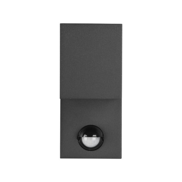 Sieninis lauko šviestuvas (aukštis 15 cm) Roya - Trio-image-2