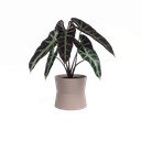 Vazonas iš keramikos ø 14 cm Diana – Artevasi