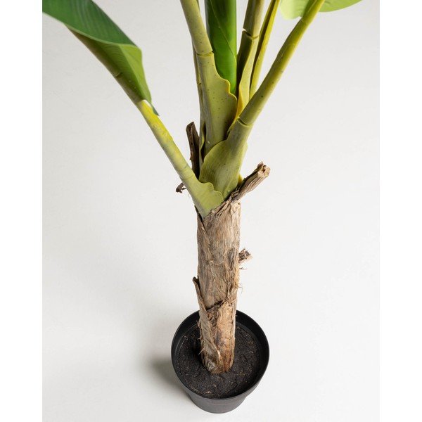 Dirbtinė palmė (aukštis 160 cm) Baa – Kave Home-image-2