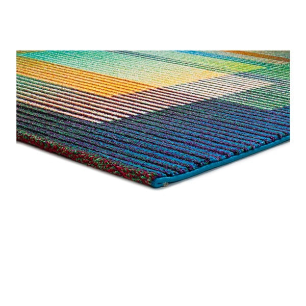 Kilimas Universalus Gio Asombroso, 120 x 170 cm-image-2