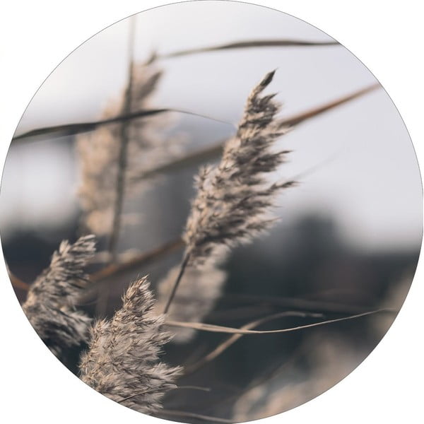 Paveikslas ø 40 cm Mellow Grasses 3 – Malerifabrikken
