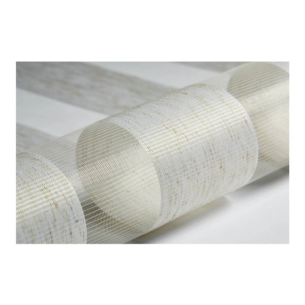 Natūralios spalvos diena ir naktis roletai 80x150 cm Zebra Silvalin – Gardinia-image-2