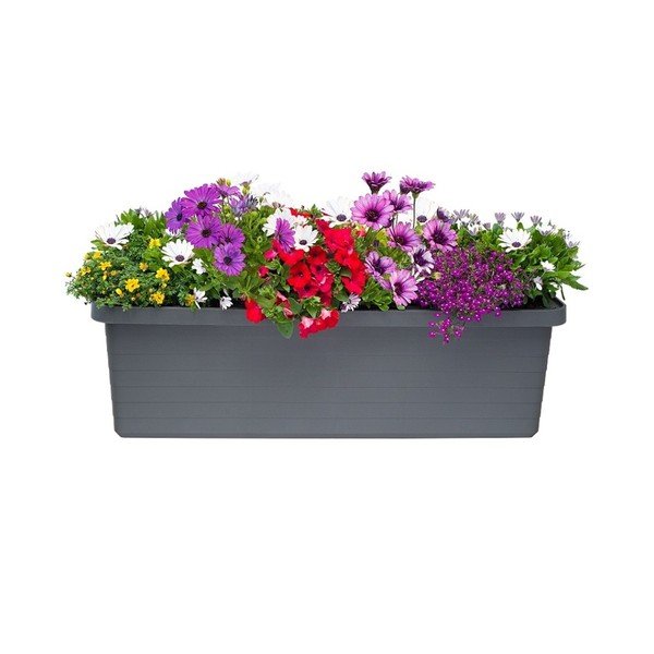 Antracito spalvos didelės talpos savaiminio laistymo vazonas Plastia Berberis TRIO, 72 l-image-1