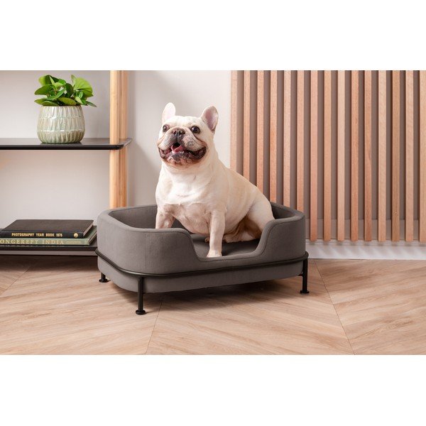 Pilkos spalvos aksominė lova augintiniui 42x63 cm Puffed – Leitmotiv-image-1