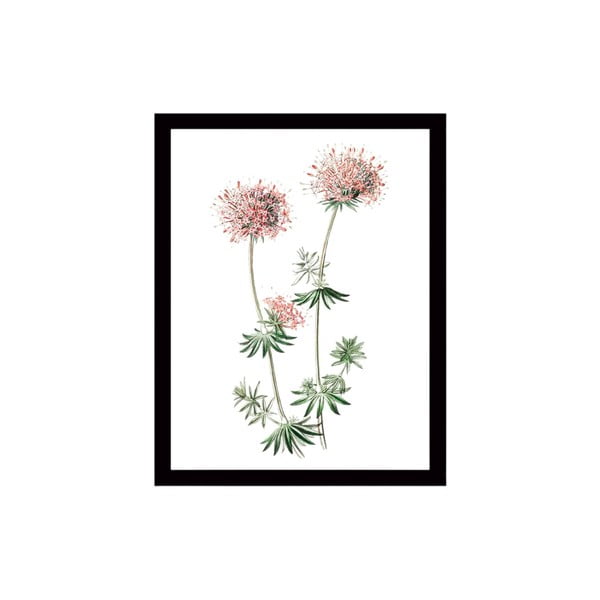 Paveikslas ant drobės juodu rėmu Tablo Center Natura, 29 x 24 cm