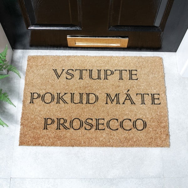 Iš kokoso pluošto grindų kilimėlis 40x60 cm Prosecco – Artsy Doormats-image-2