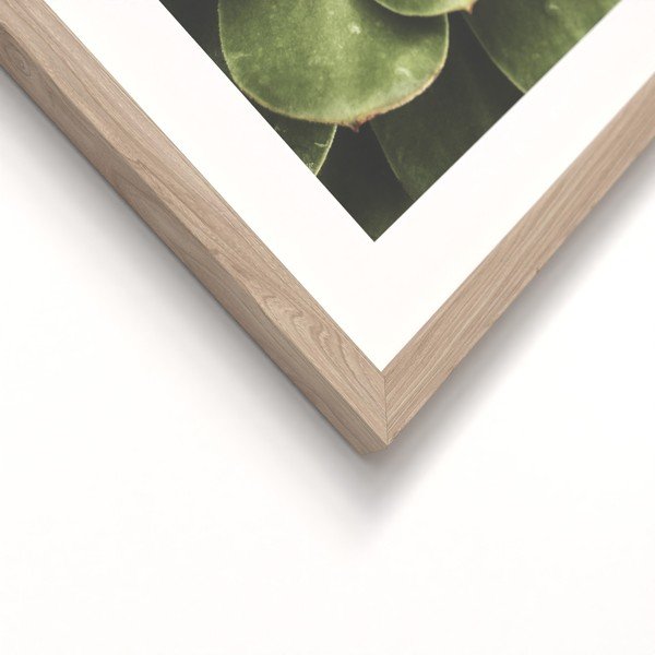 Spausdinti paveikslai su rėmeliu 2 vnt. 30x40 cm Beauty Green – Styler-image-3
