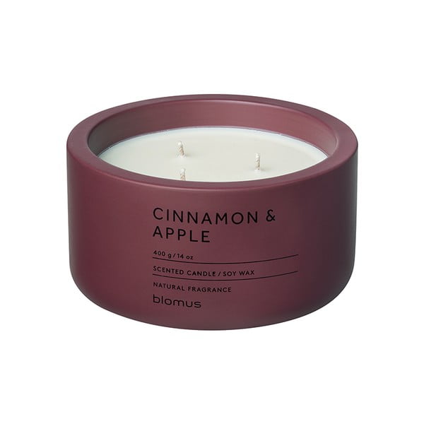 Aromatinė žvakė iš sojų vaško degimo laikas 25 h Fraga: Cinnamon & Apple – Blomus
