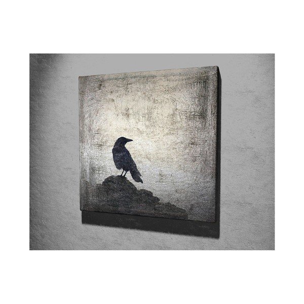 Paveikslas ant drobės Black Bird, 45 x 45 cm-image-2