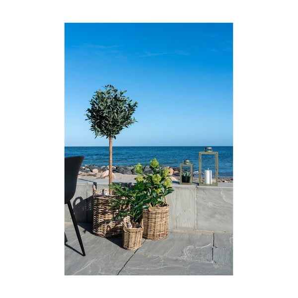 Dirbtinis augalas (aukštis 60 cm) Fig – House Nordic-image-3