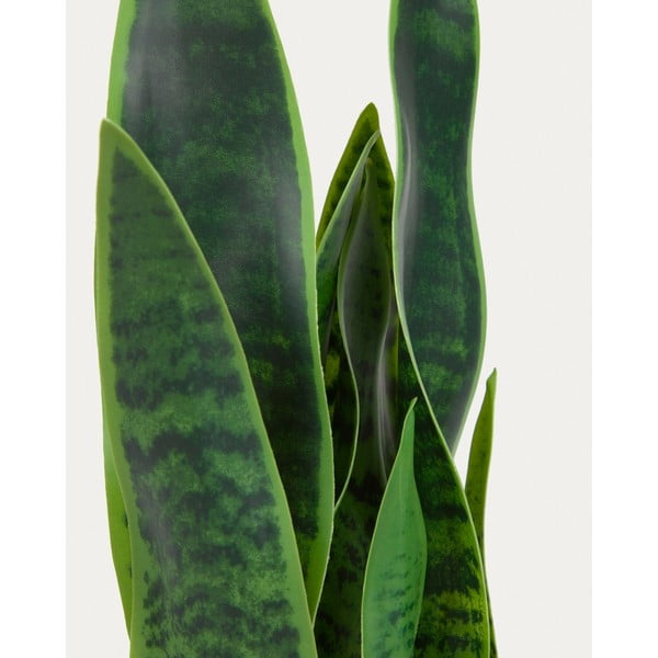 Dirbtinis augalas (aukštis 55 cm) Sansevieria – Kave Home-image-3
