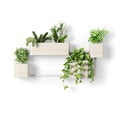 Iš plastiko vazonai 4 vnt. žolelėms/pakabinami ir sieniniai Cubiko – Umbra