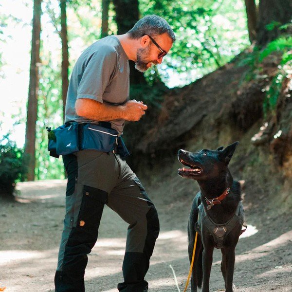 Diržas Explorer Pack Waterfall - P.L.A.Y.-image-1