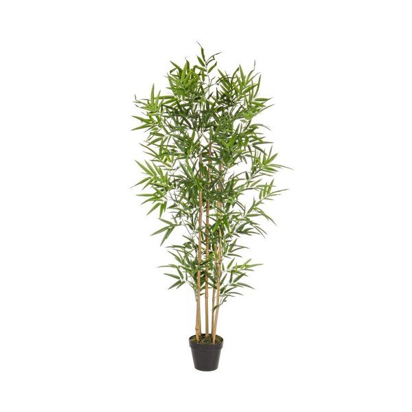 Dirbtinis bambukas (aukštis 155 cm) Bamboo – Bizzotto
