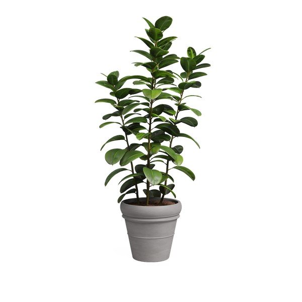 Vazonas iš terakotos ø 47 cm Mariza – Artevasi-image-2