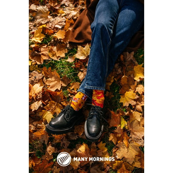 Kojinės Many Mornings The Squirrels, 35-38 dydis-image-2