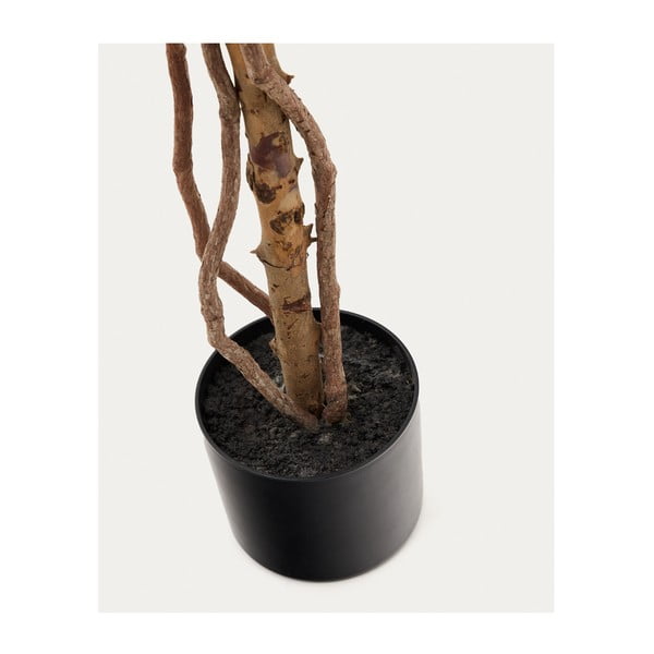 Dirbtinis fikusas (aukštis 180 cm) Ficus – Kave Home-image-2