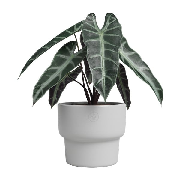 Rankų darbo vazonas iš keramikos ø 20 cm Echo – Artevasi-image-1