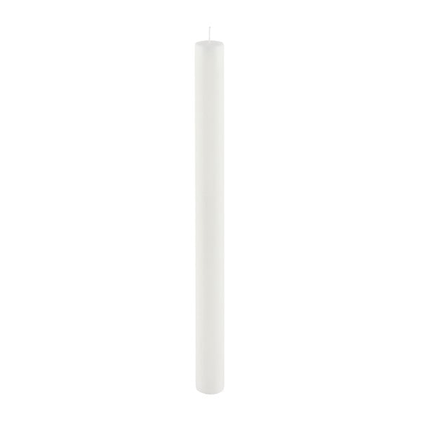 Balta ilga žvakė Ego Dekor Cylinder Pure, degimo trukmė 53 val.