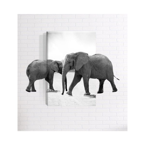 3D paveikslas ant sienos "Mosticx Elephant", 40 x 60 cm