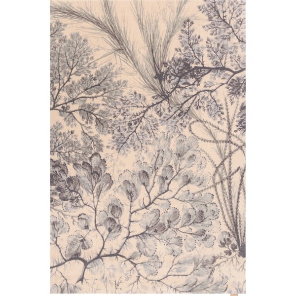 Iš vilnos kilimas mėtų spalvos/smėlio spalvos 133x190 cm V&A Calisia Kelp – Agnella