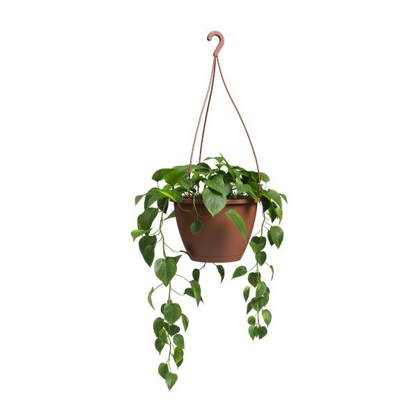 Iš plastiko vazonas ø 31 cm Algarve – Artevasi