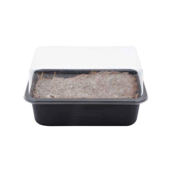 Darželis Field Mushroom – Esschert Design-image-3