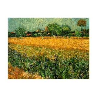 Vincent van Gogh reprodukcija View of arles with irises in the foreground, 40 x 30 cm