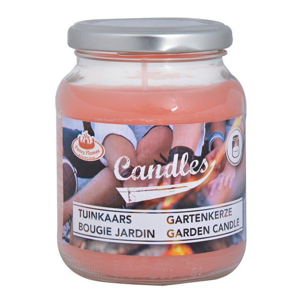 4 stiklinių sodo žvakių rinkinys "Esschert Design Garden", degimo trukmė 36 val.-image-2