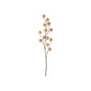 Dirbtinė gėlė (aukštis 68 cm) Poppy Berry – PT LIVING