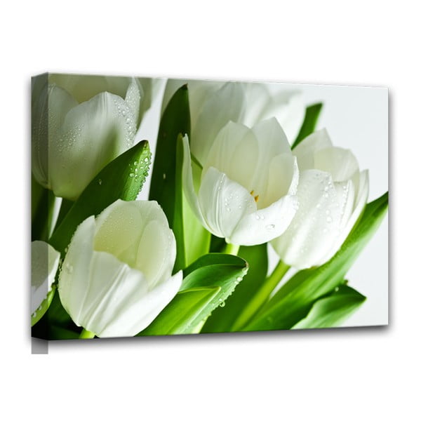 Vaizdas Styler drobė "Baltos tulpės", 60 x 80 cm