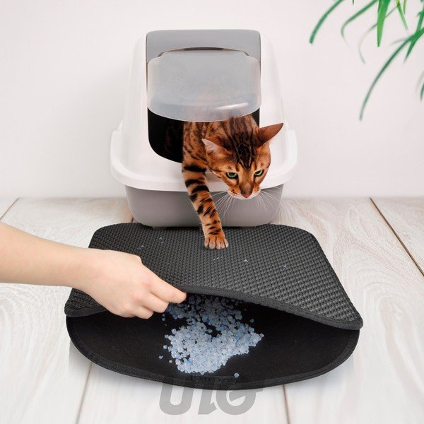 Kačių kraiko padėklas 50x40 cm – Love Story-image-1