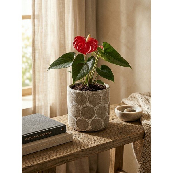 Iš terakotos rankų darbo gėlių vazono dangtelis ø 12 cm Felan – Bloomingville-image-2