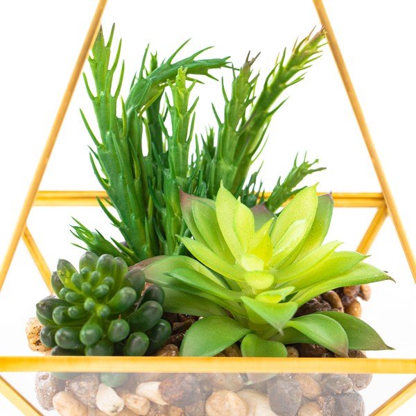 Dirbtinis sukulentas (aukštis 30 cm) Geometry – AmeliaHome-image-2