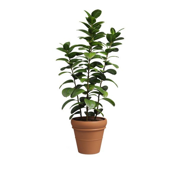 Vazonas iš terakotos ø 47 cm Mariza – Artevasi-image-4