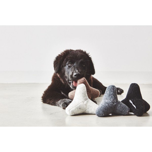 Žaislas šuniui Quattro Greige S/M – MiaCara-image-2