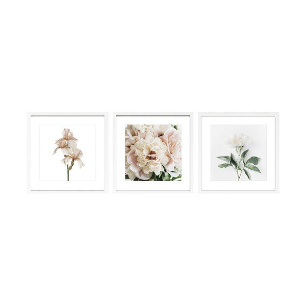 Spausdinti paveikslai su rėmeliu 3 vnt. 30x30 cm Posy – Styler