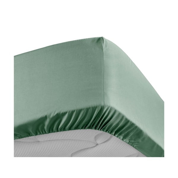 Paklodė iš medvilninio perkelio žalios spalvos su guma 160x200 cm Percaline – douceur d'intérieur-image-3