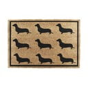Iš kokoso pluošto grindų kilimėlis 40x60 cm Dachshund – Artsy Doormats