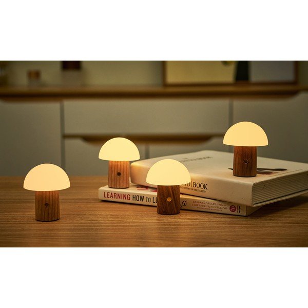 Iš uosio masyvo stalinis šviestuvas natūralios spalvos LED su pritemdymo funkcija (aukštis 7 cm) Alice – Gingko-image-1