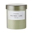 Aromatinė žvakė iš sojų vaško degimo laikas 45 h Valoa Fig Tree – Lime – Blomus