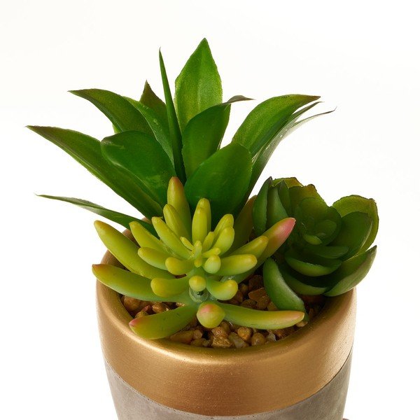 Dirbtiniai augalai 4 vnt. (aukštis 17 cm) Cactus – Casa Selección-image-4