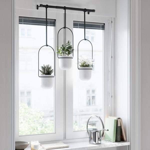 Iš plastiko gėlių vazonų dangteliai 3 vnt. žolelėms/pakabinami ir sieniniai ø 7,5 cm Triflora – Umbra-image-4